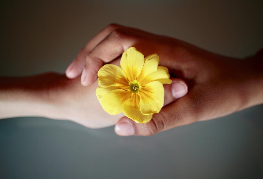 kädet, jotka pitävät kiinni toisistaan ja joiden keskellä on keltainen kukka